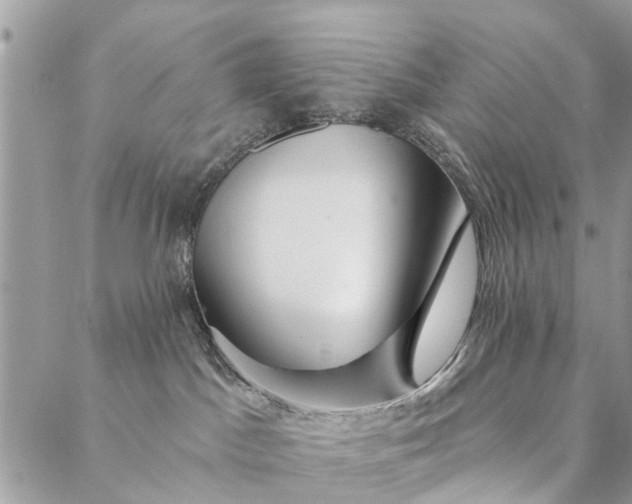 X0000087380045200705041956