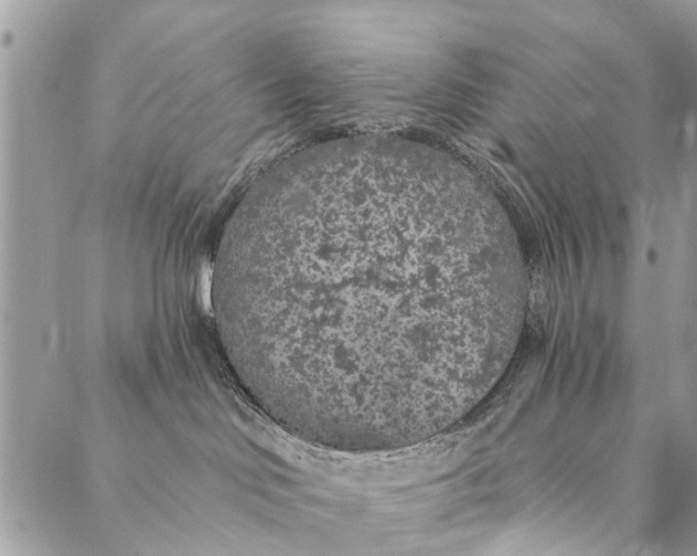 X0000087380046200705041956