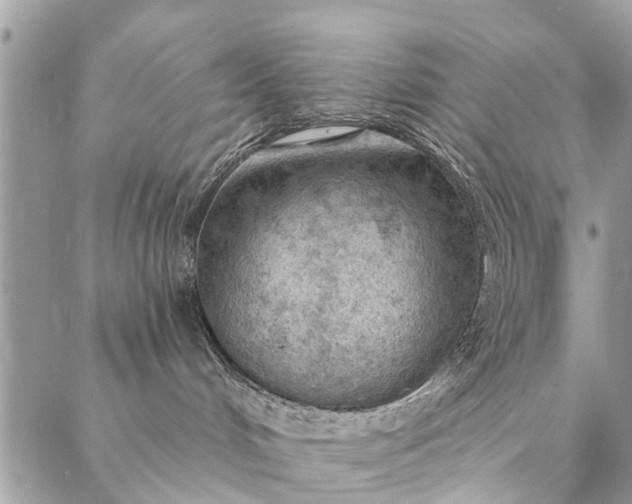 X0000087380048200705041956