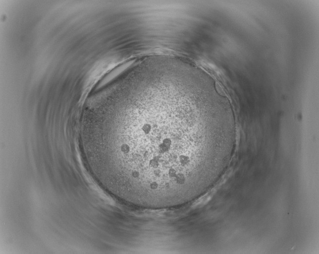 X0000087380049200705041955