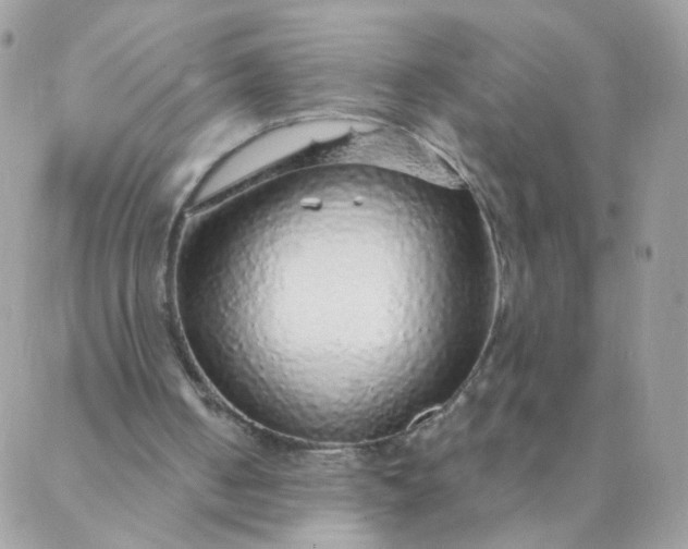 X0000087380050200705041955