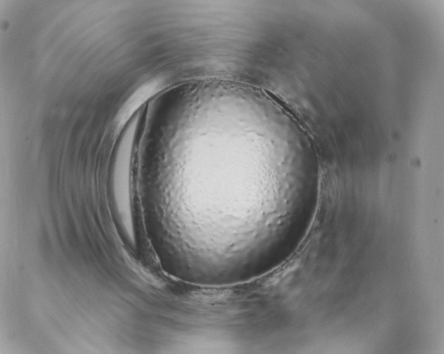 X0000087380051200705041955