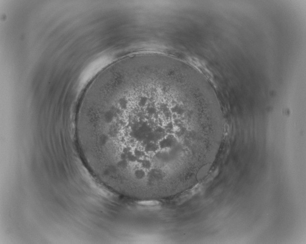 X0000087380053200705041955