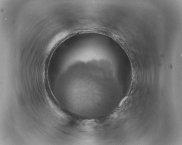 X0000087380054200705041955