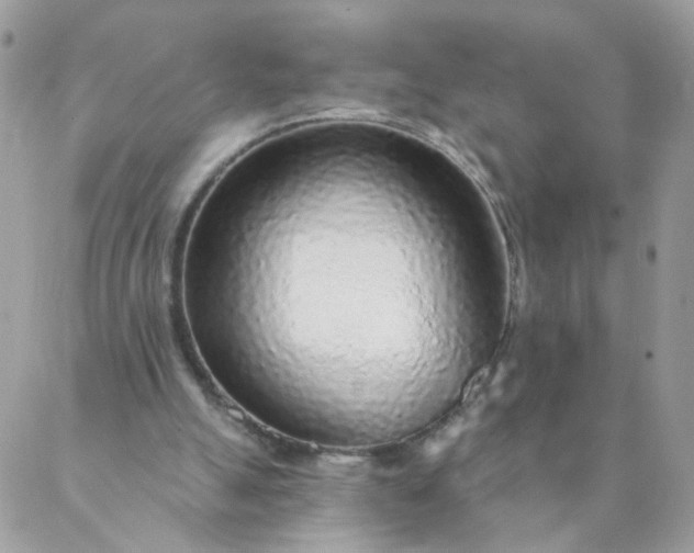 X0000087380055200705041955