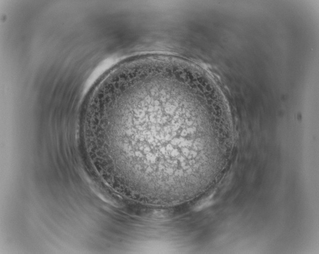 X0000087380056200705041955