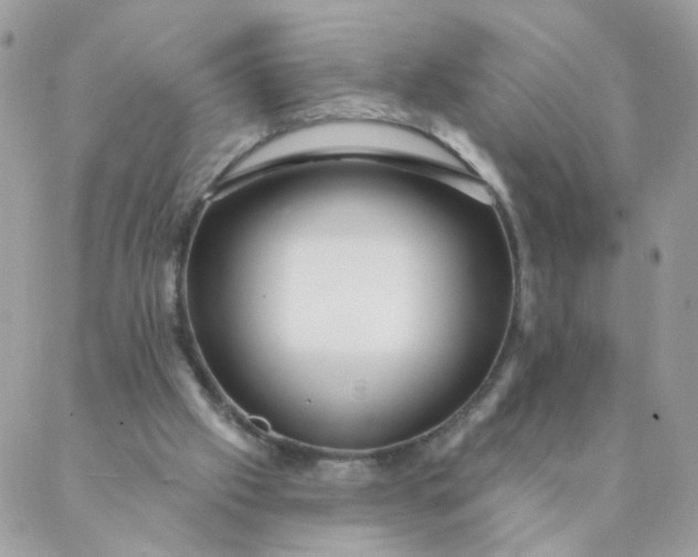 X0000087380057200705041955