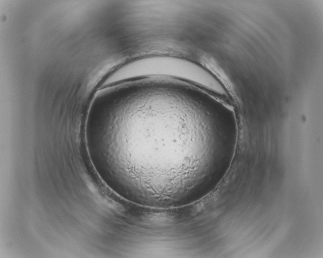 X0000087380058200705041955