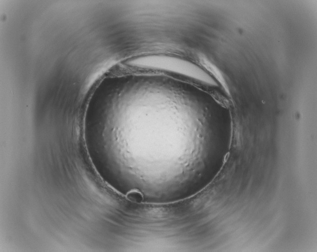 X0000087380059200705041955