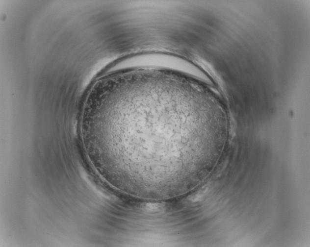 X0000087380060200705041955