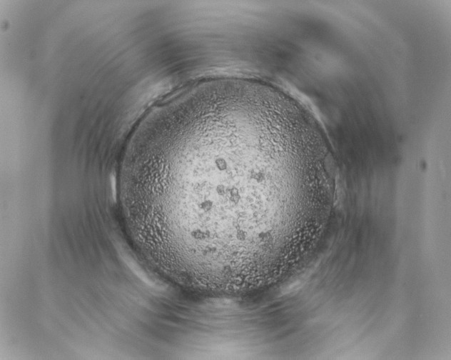 X0000087380061200705041956