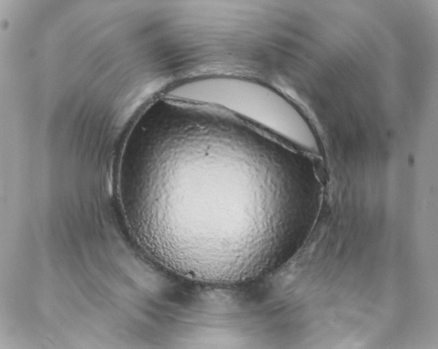 X0000087380062200705041956