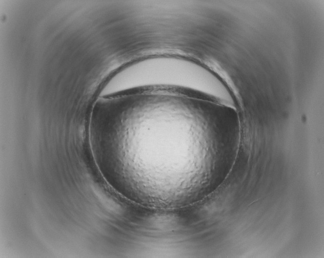 X0000087380063200705041956