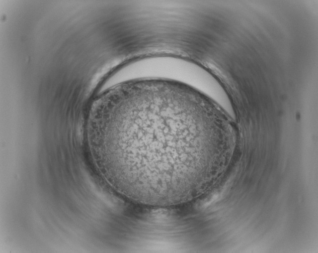 X0000087380064200705041956