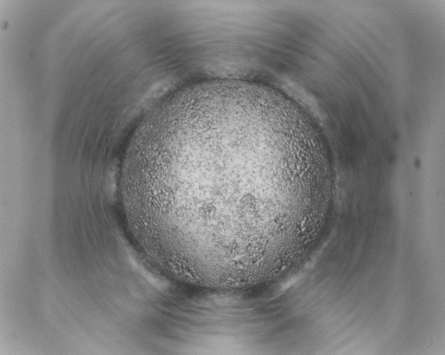 X0000087380065200705041956