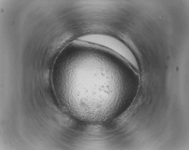 X0000087380066200705041956