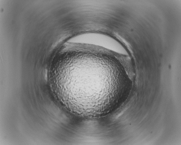 X0000087380067200705041956