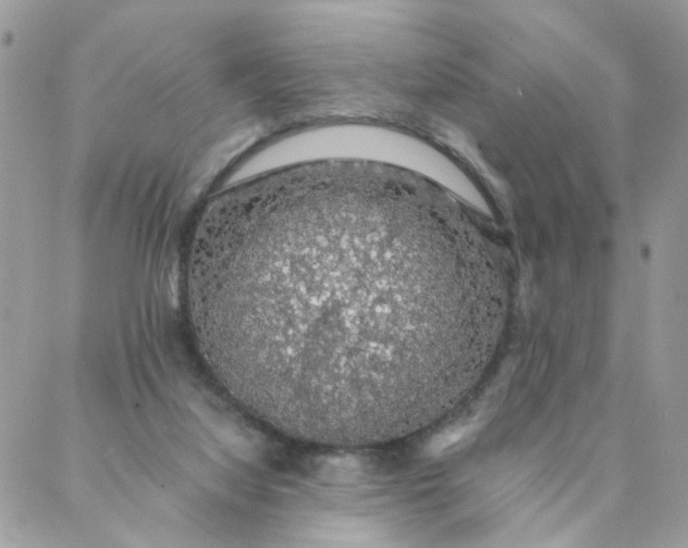 X0000087380068200705041956