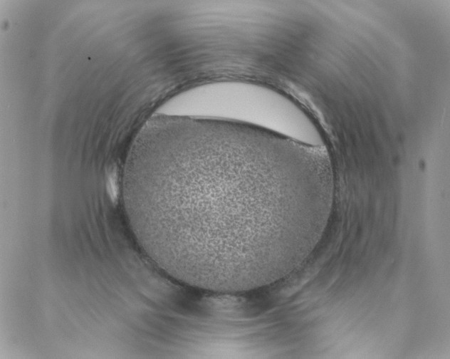 X0000087380069200705041956