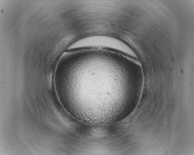 X0000087380070200705041956