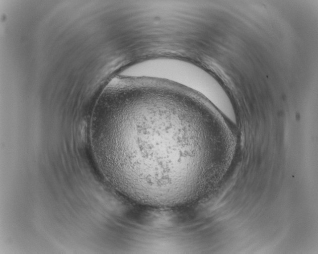 X0000087380071200705041956