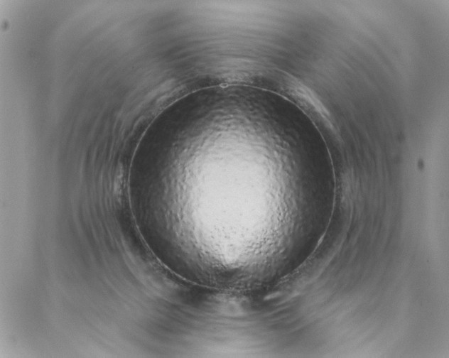 X0000087380073200705041956