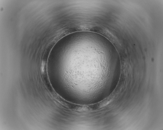 X0000087380075200705041956