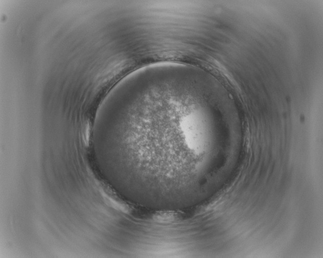 X0000087380076200705041956