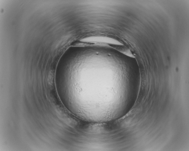 X0000087380078200705041956