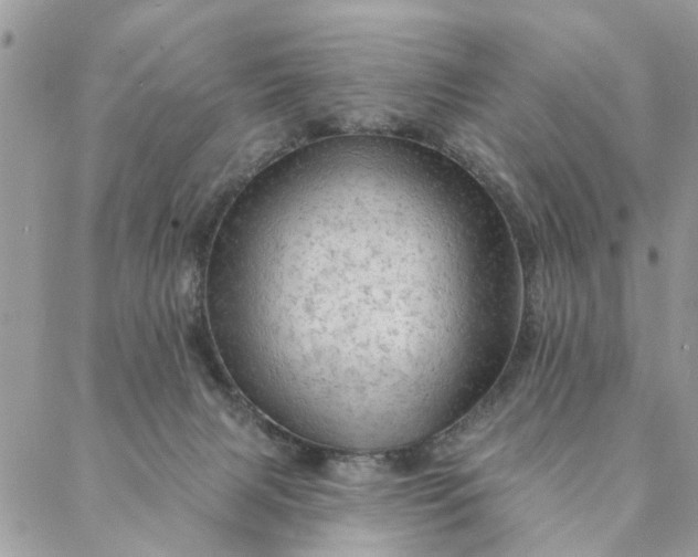 X0000087380079200705041956