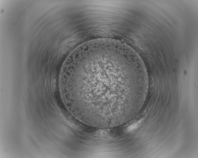 X0000087380080200705041956