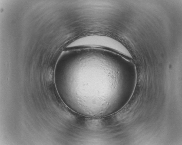 X0000087380081200705041956