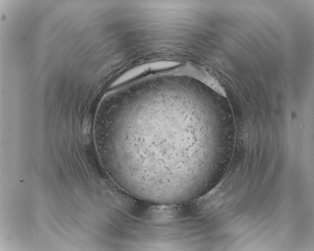 X0000087380082200705041956