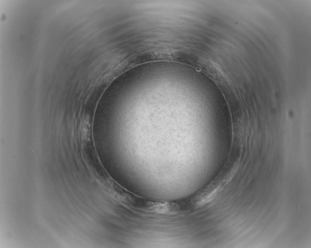 X0000087380083200705041956