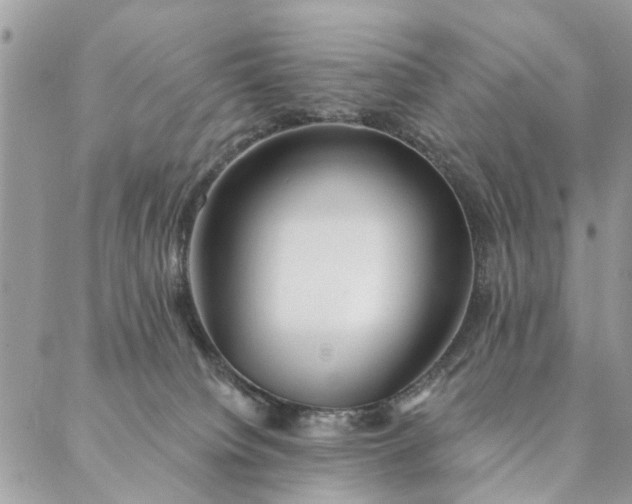 X0000087380084200705041956