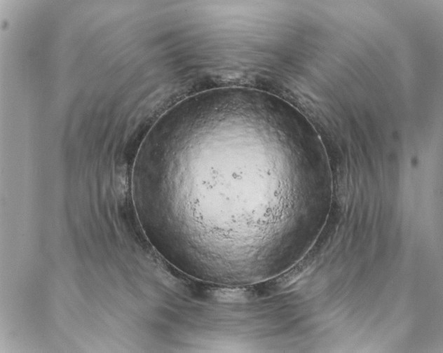 X0000087380085200705041956