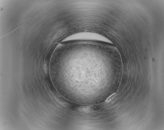 X0000087380086200705041956