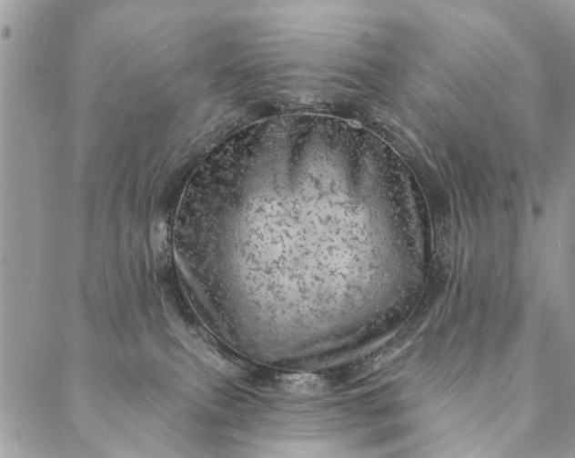 X0000087380087200705041956