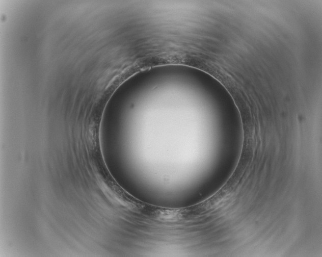 X0000087380088200705041956