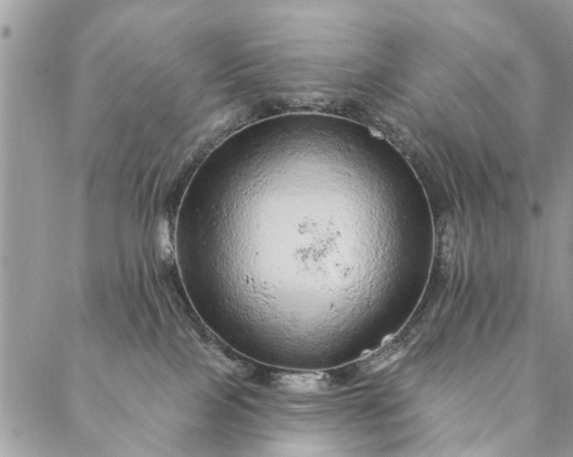 X0000087380089200705041956