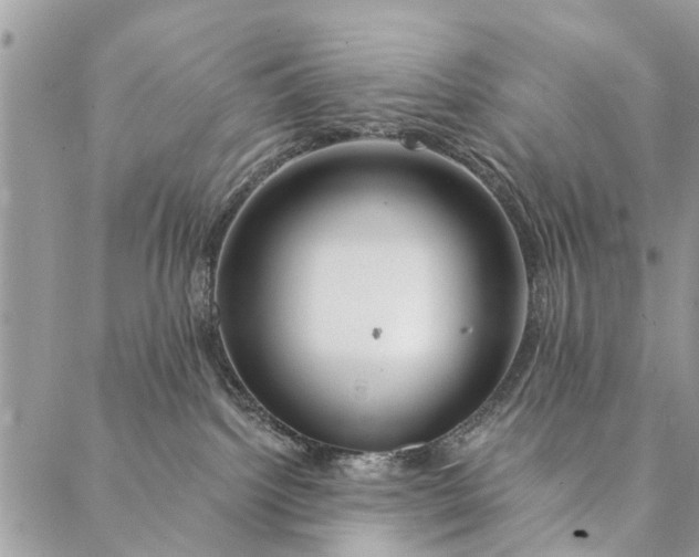 X0000087380092200705041956