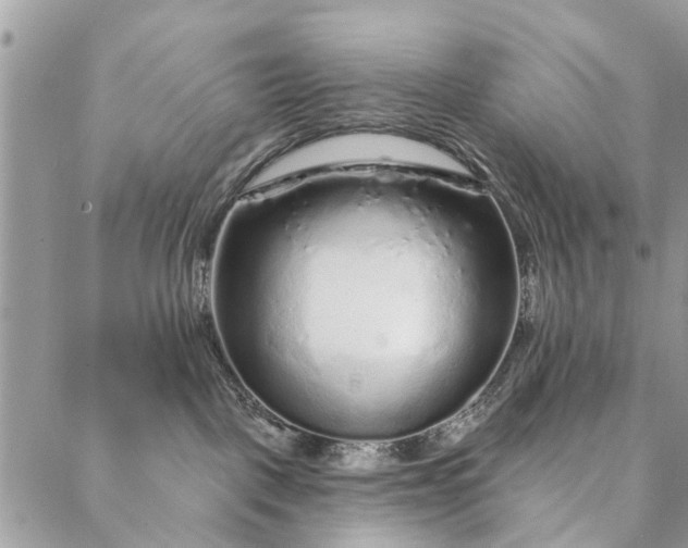 X0000087380093200705041956