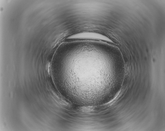 X0000087380094200705041956