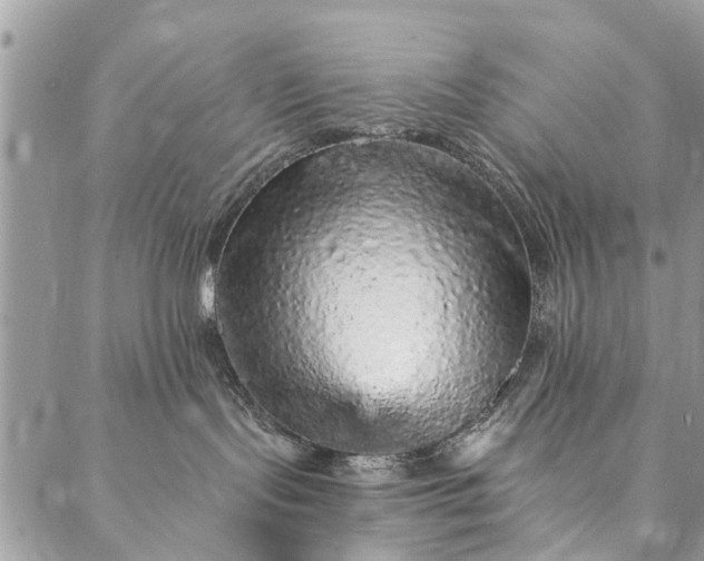 X0000087380095200705041956