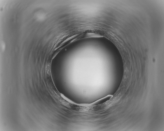 X0000087380096200705041956