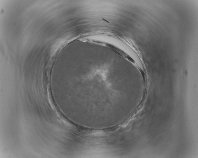 X0000087380097200705041955