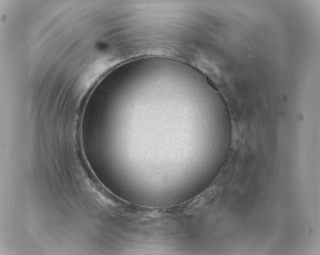 X0000087380098200705041955