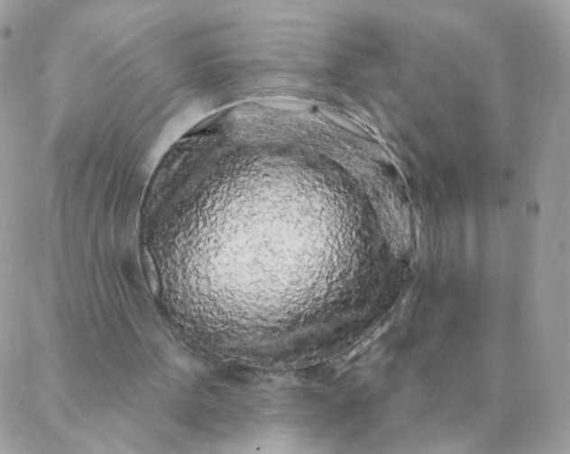 X0000087380099200705041955