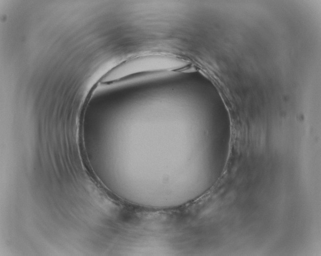 X0000087380100200705041955