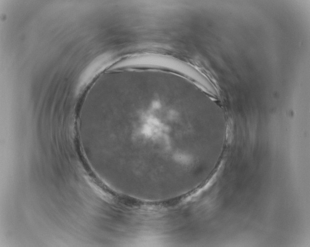 X0000087380101200705041955